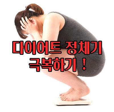  [구월동PT] 운동 중 찾아온 정체기?! 가장 좋은 극복 방법은?