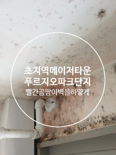  안산 초지역메이저타운 푸르지오파크단지 빨간곰팡이베란다 바이오세라믹 곰팡이방지 조습기능