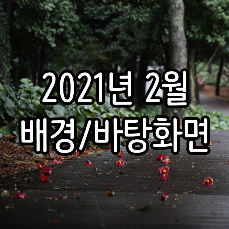  2021년 2월 배경화면/바탕화면 컴퓨터 달력, 총 11가지