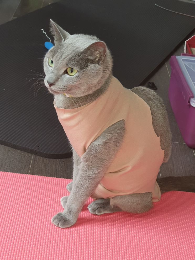  거래처 미수금 못받고 있다면 회수준비 시작!