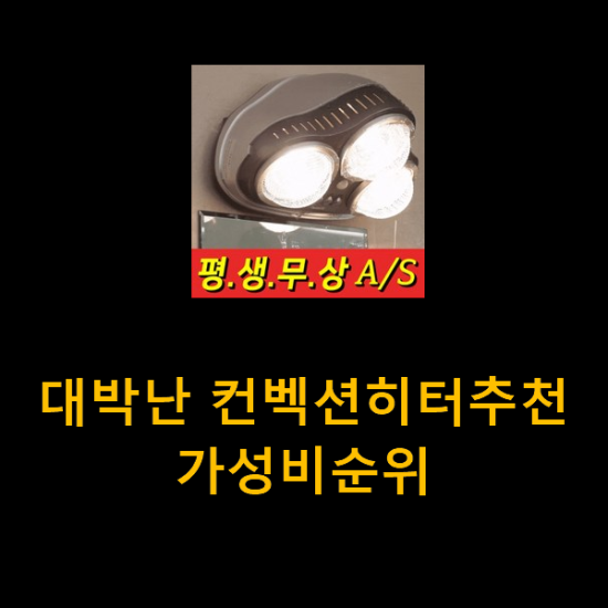 대박난 컨벡션히터추천 가성비순위 대박난 컨벡션히터추천 가성비순위