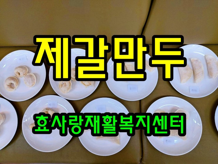  동탄 화성 병점 주간보호 센터/방문요양/효사랑재활복지센터/제갈 만두 빚기