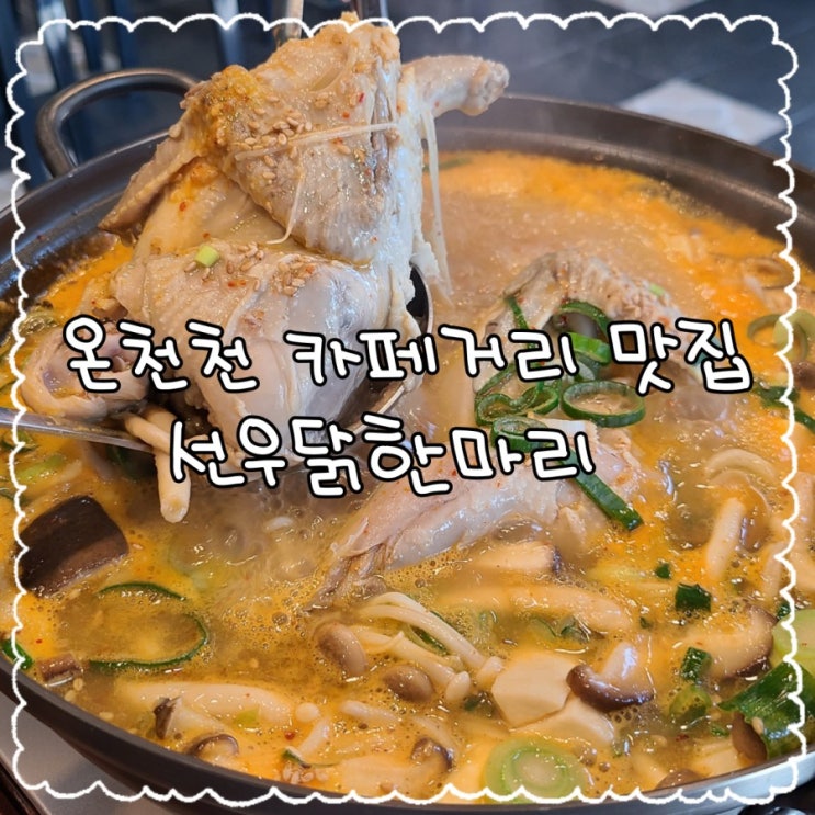 온천천 카페거리 맛집, 선우닭한마리에서 몸보신했어요!!