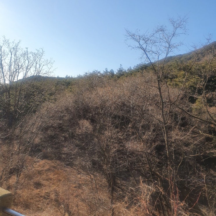  대구근교드라이브/대구팔공산/대구배달횟집/고래수산회초밥