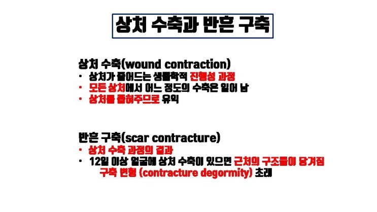 코보형물 삽입을 하지 않았다고 절대로 코성형 구축이 생기지 않는 거 아니에요.