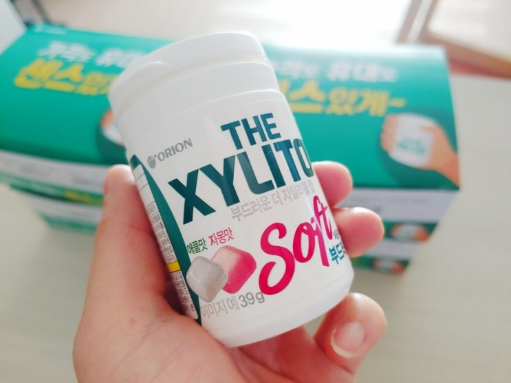  오리온 핸디껌 더자일리톨 소프트,후라보노껌 후기