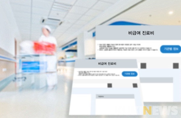 사망 환자 실손보험 청구도 불가…‘본인부담상한제’ 탓 사망 환자 실손보험 청구도 불가…‘본인부담상한제’ 탓