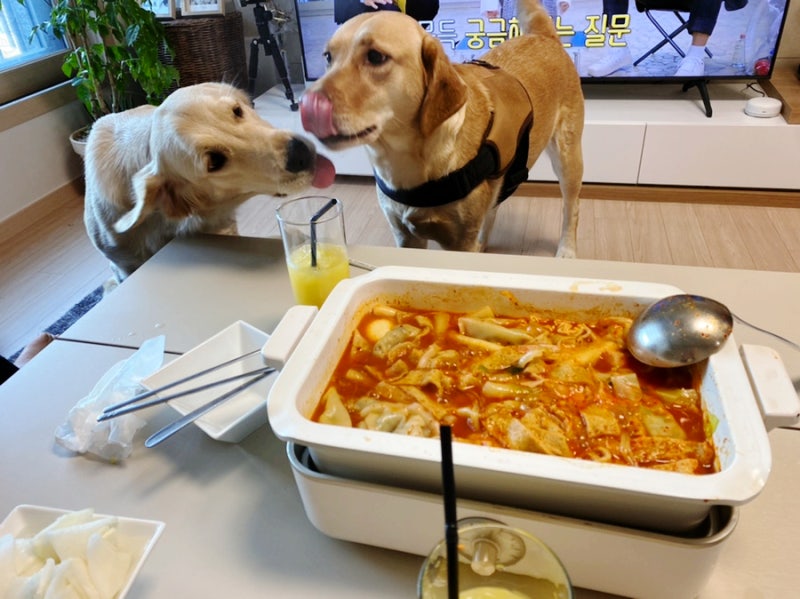 사진 5