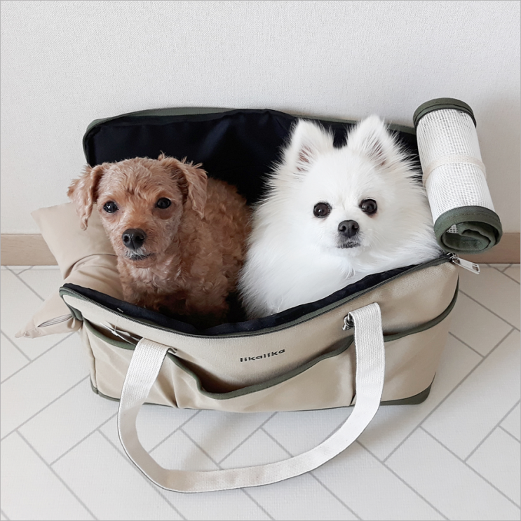  리카리카백 likalika 멍산책 가쟈