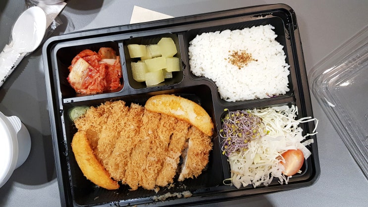 일산 가로수길 배달 맛집 '하루엔소쿠' 와사비 등심돈까스 도시락 메뉴 내 취향!