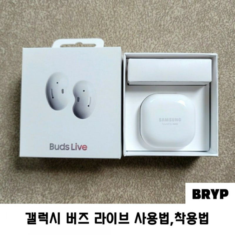 갤럭시 버즈 라이브 윙팁 사용법 착용법