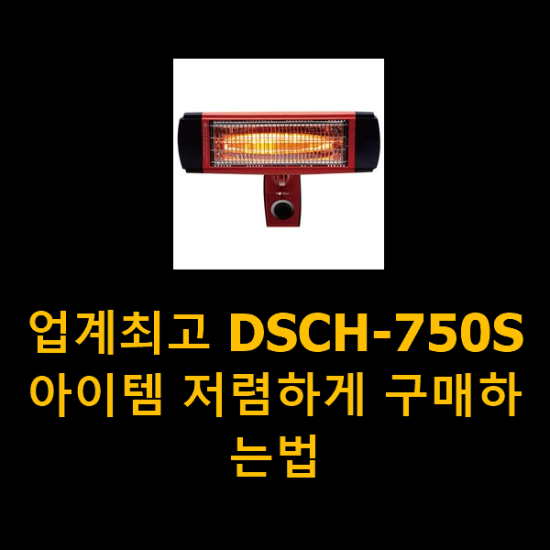 업계최고 DSCH-750S 아이템 저렴하게 구매하는법