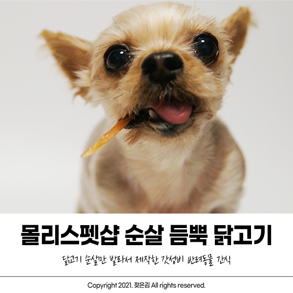 반려견 간식 몰리스 순살듬뿍 닭고기 기호성 좋아요!