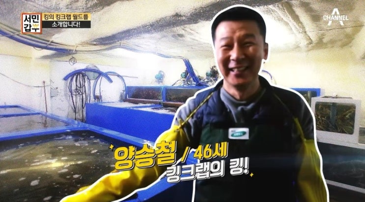 서민갑부 킹크랩 양승철 왕게수산 위치