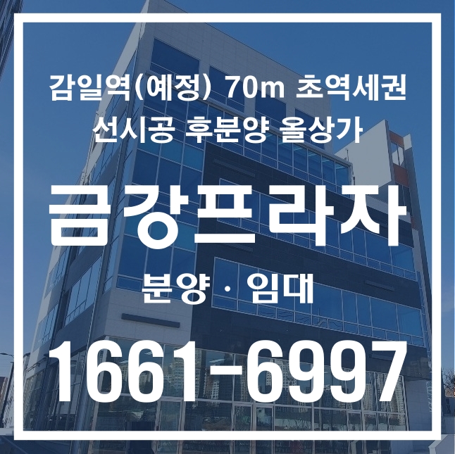  감일 금강프라자 선시공 후분양 감일역 선점 상가 분양 임대