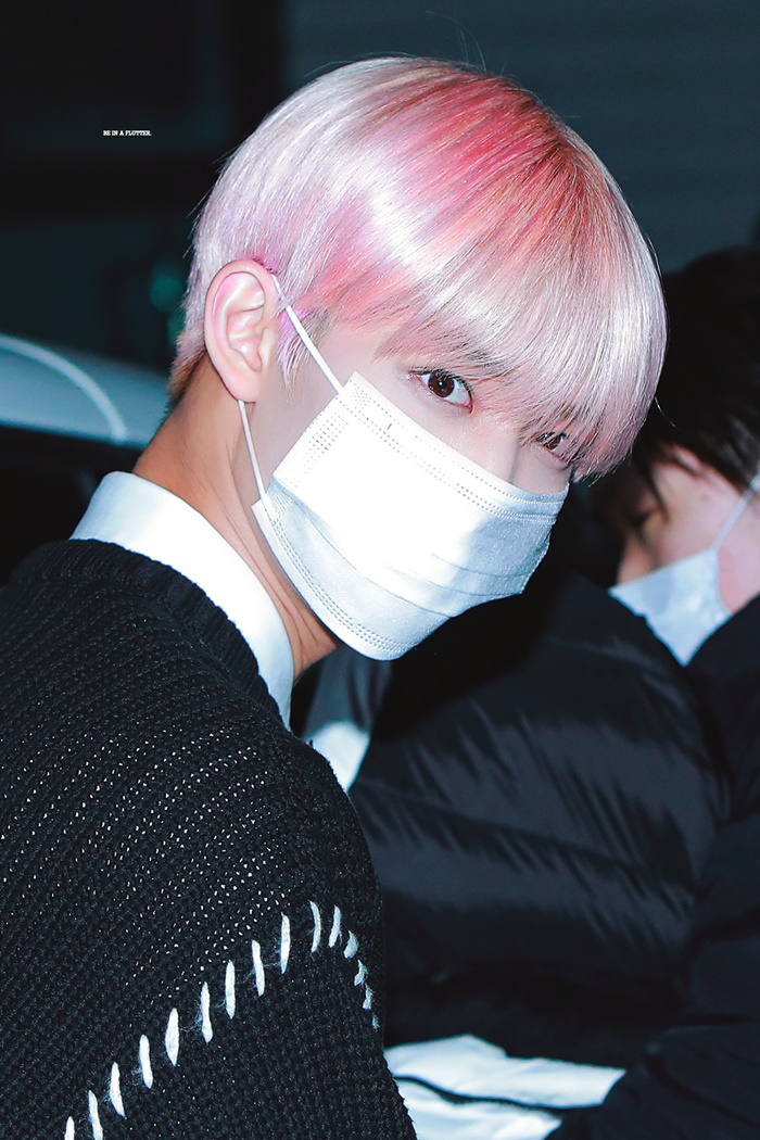  배진영 머리 핑크색