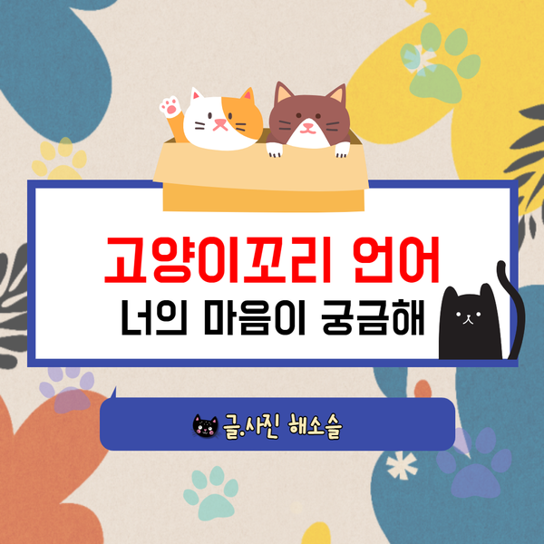  고양이꼬리 언어, 도대체 무슨 말이 하고 싶은거니?