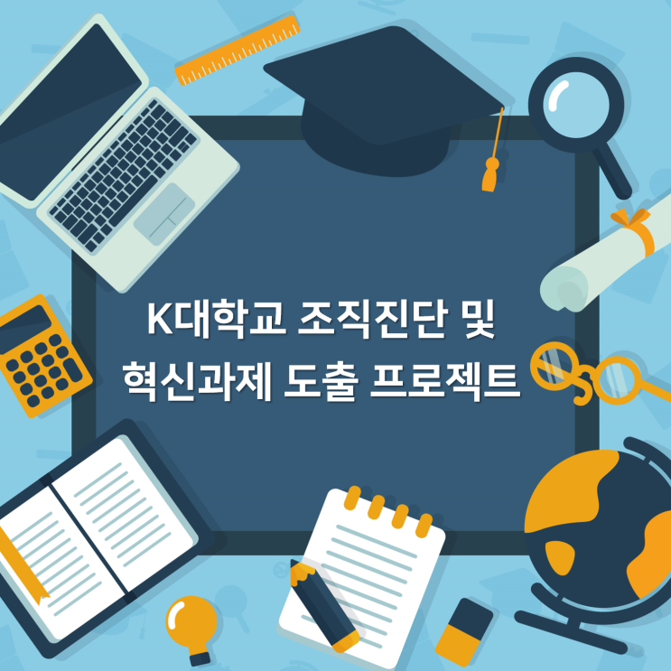  [조직진단] K대학교, 조직진단 및 혁신과제 도출