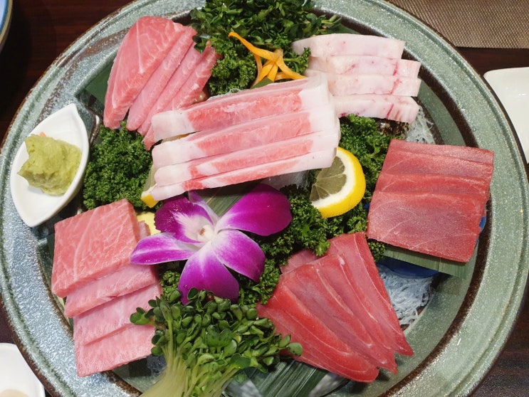  아산 온천동 참치 맛집 금정참치 스폐셜코스 실후기