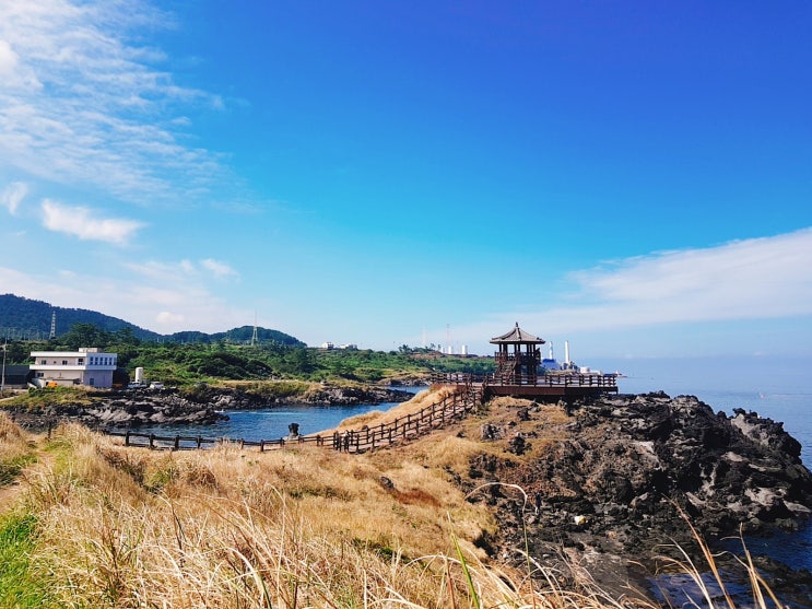  아이들과 함께한 가을 제주 동쪽 가족여행 4박5일 코스