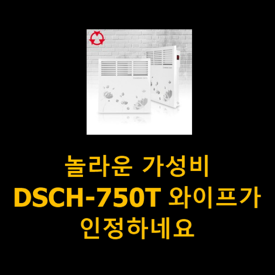 놀라운 가성비 DSCH-750T 와이프가 인정하네요