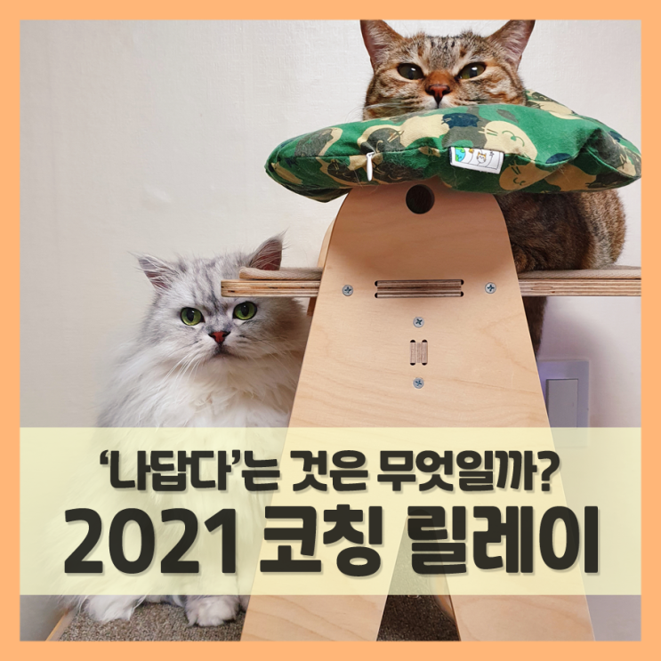  2021 코칭 릴레이, 나다운 것은? (from 붕장군님)