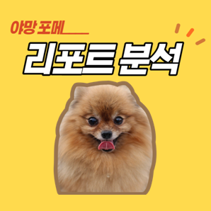 애플 주식 전망, 가격, 실적 발표(f. 기아차 애플카?) - 플랫폼 기업 시리즈 1편
