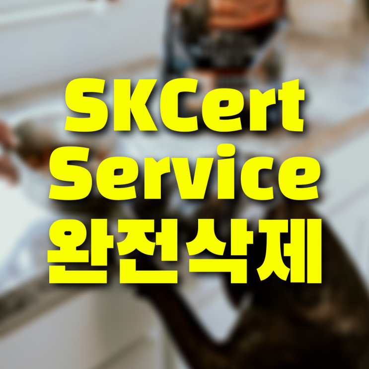  SKCertService 용도와 완전하게 삭제하는 방법