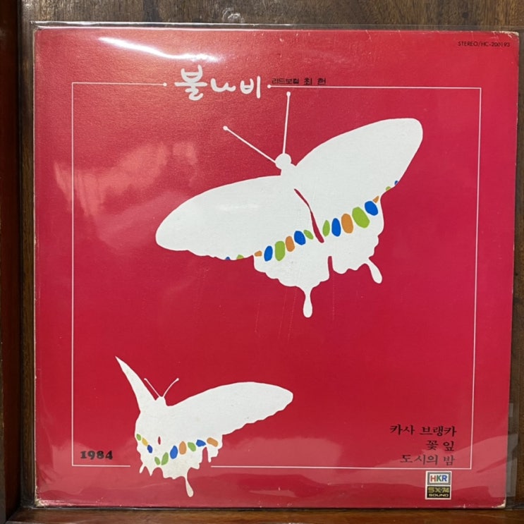  LP판 불나비 리드보컬 최헌 카사브랭카