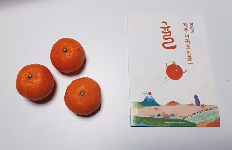  인하네 제주 서귀포 감귤 - 귤이 너무 맛있어서 쓰는 자발적 후기 (내돈내산)
