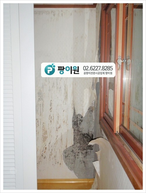  코너? 모서리? 벽 곰팡이제거 방법은?