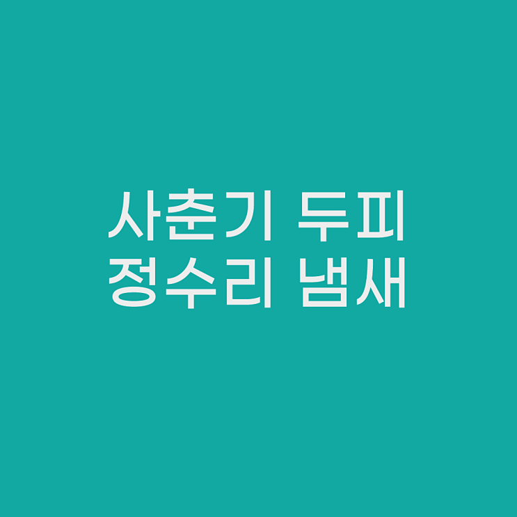  "올큐어케라틴" 사춘기 정수리 두피 냄새없애는 방법