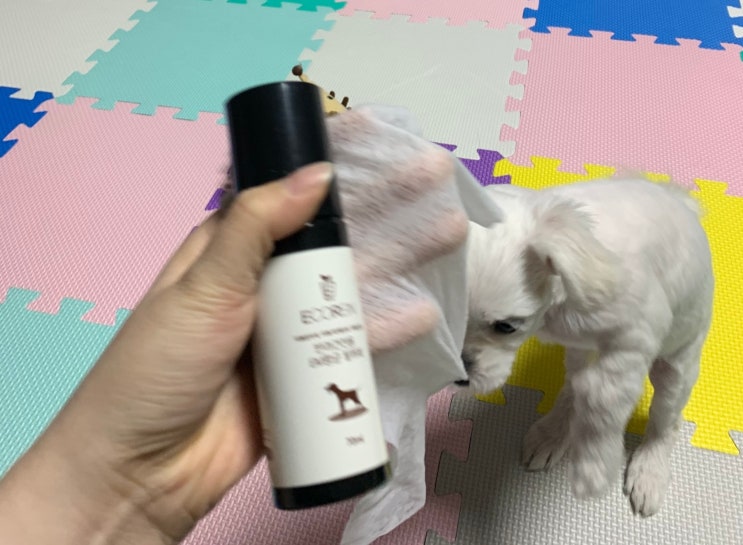  강아지전용 친환경 EM 향균탈취제