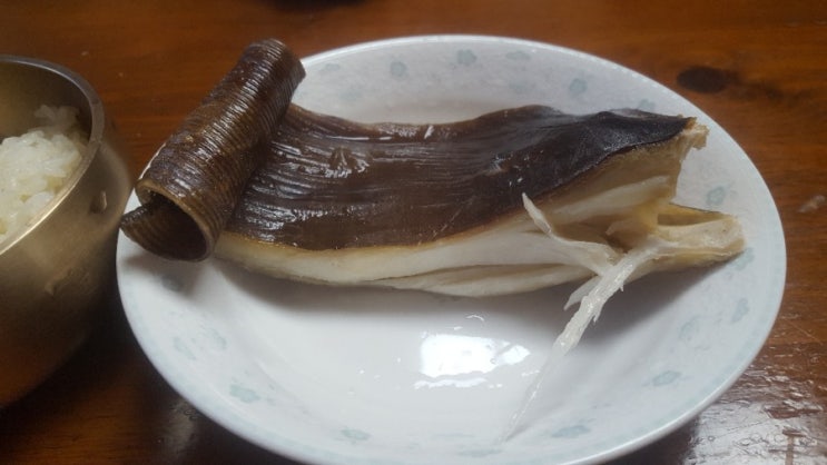  가오리 효능