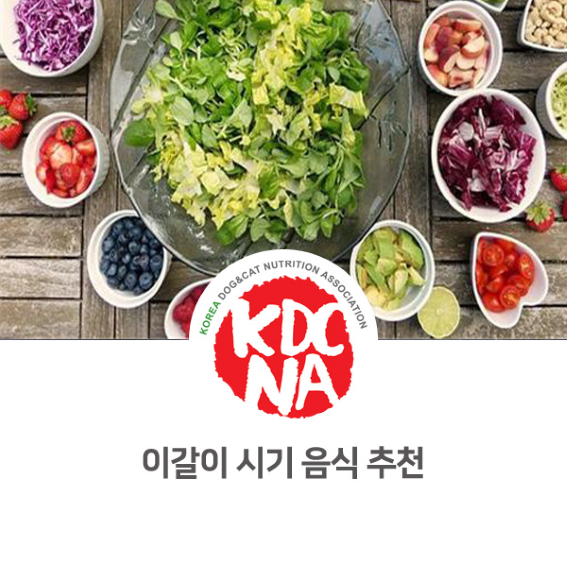  [순천/전남/광주/여수/해남/나주/펫푸드자격증/펫영양사/강아지자연식] 한국반려동물영양협회 전남지회가 알려주는 강아지 이갈이시기 음식 추천_717