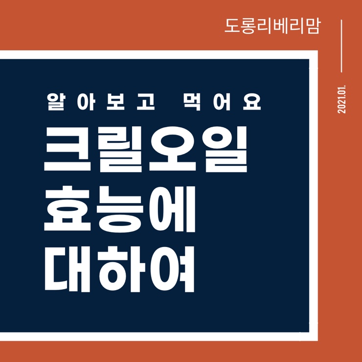  크릴오일 효능 영양성분 부작용 주의사항에 대하여
