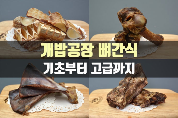  개밥공장 반려견 뼈간식 종류별로 먹어보기(상여연골, 양사골뼈, 양부채뼈, 양등뼈)