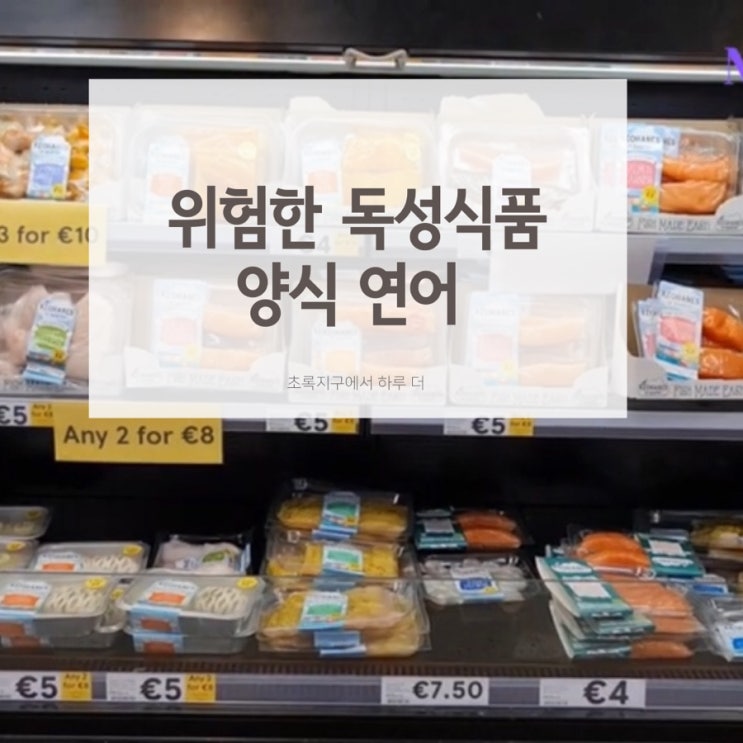  노르웨이산 양식연어 먹을 수 없는 이유