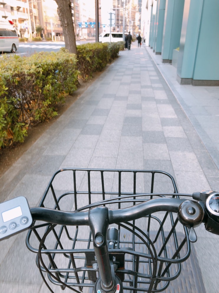 [일본 생활]일본 도쿄 자전거렌탈/도쿄 일상/긴자 미츠코시백화점 식품점/유락쵸 빅카메라