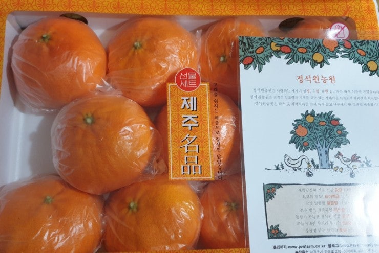 서귀포 인정 받은 명품 레드향 정석원농원 서귀포in정 입점