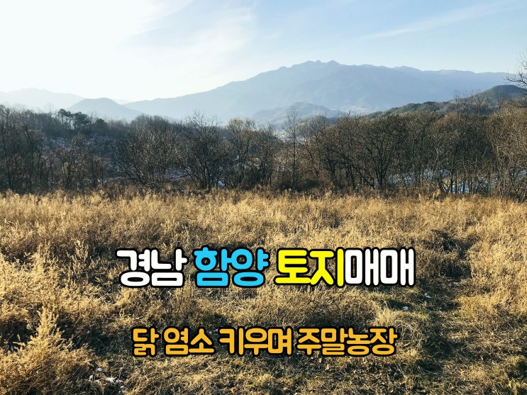  함양부동산(1-720) 해발300m 염소 닭 키우며 힐링하기좋은 주말농장 경남토지 함양땅 매매 입니다