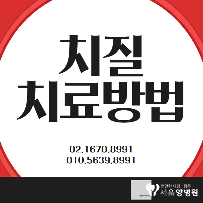 치질 원인 / 비수술 / 병원 / 수술통증 _서울양병원 12