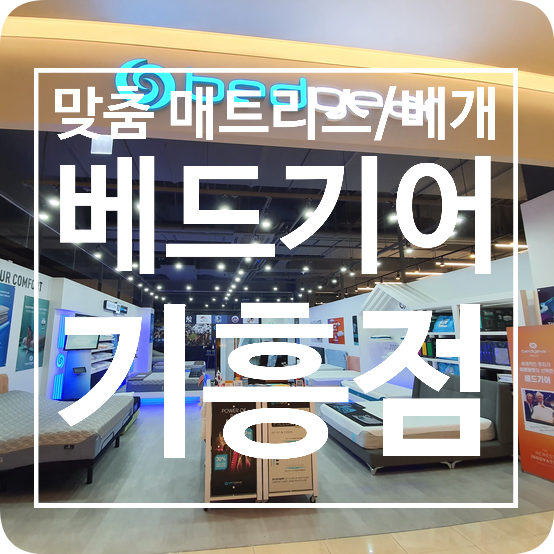 맞품 매트리스 맞춤 베개 찾는다면 베드기어 기흥점 맞품 매트리스 맞춤 베개 찾는다면 베드기어 기흥점