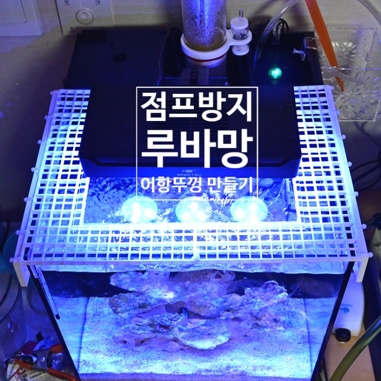  물고기 점프 방지를 위한 루바망 어항 뚜껑 만들기