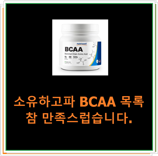 소유하고파 BCAA 목록 참 만족스럽습니다.