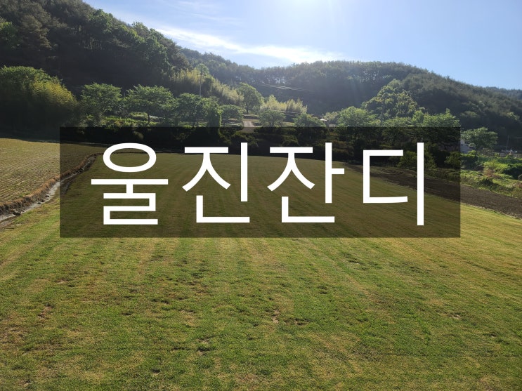  태백준령과 동해의 기상이 가득한 울진 잔디 배송
