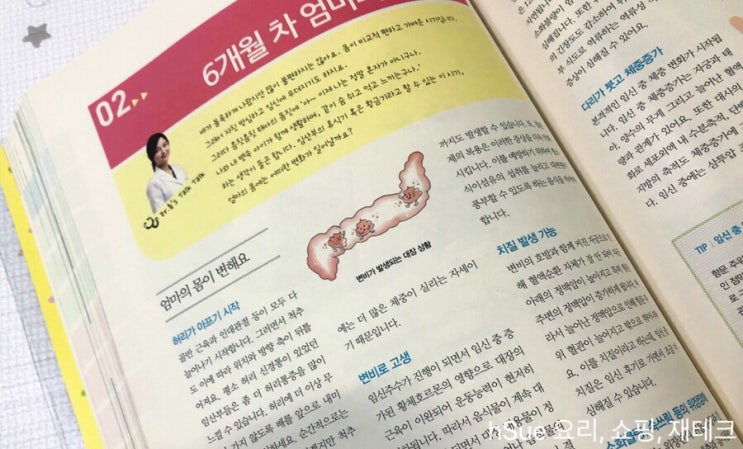  [임산부 변비 생기는 이유] 임신 호르몬 + 자궁압박 + 철분제, 장 개선 영양제 챙겨먹자