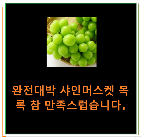 완전대박 샤인머스켓 목록 참 만족스럽습니다. 완전대박 샤인머스켓 목록 참 만족스럽습니다.