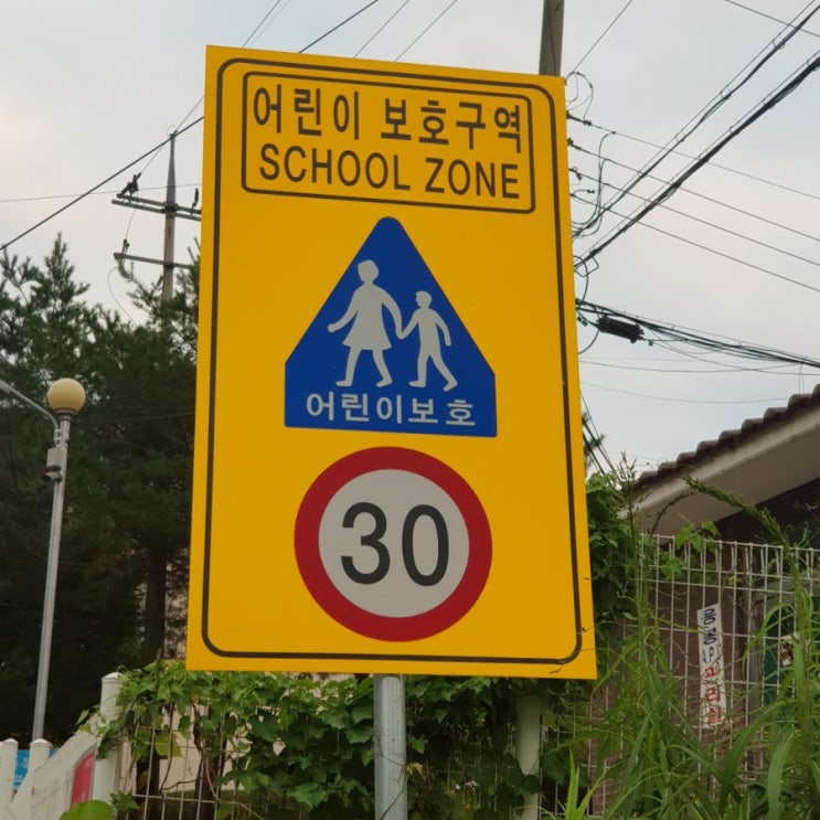  동행