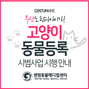  부산 고양이 동물등록 시범사업 시행 안내 (센텀동물메디컬센터, 고양이전문동물병원, 공간분리 전용 진료실, 입원실)